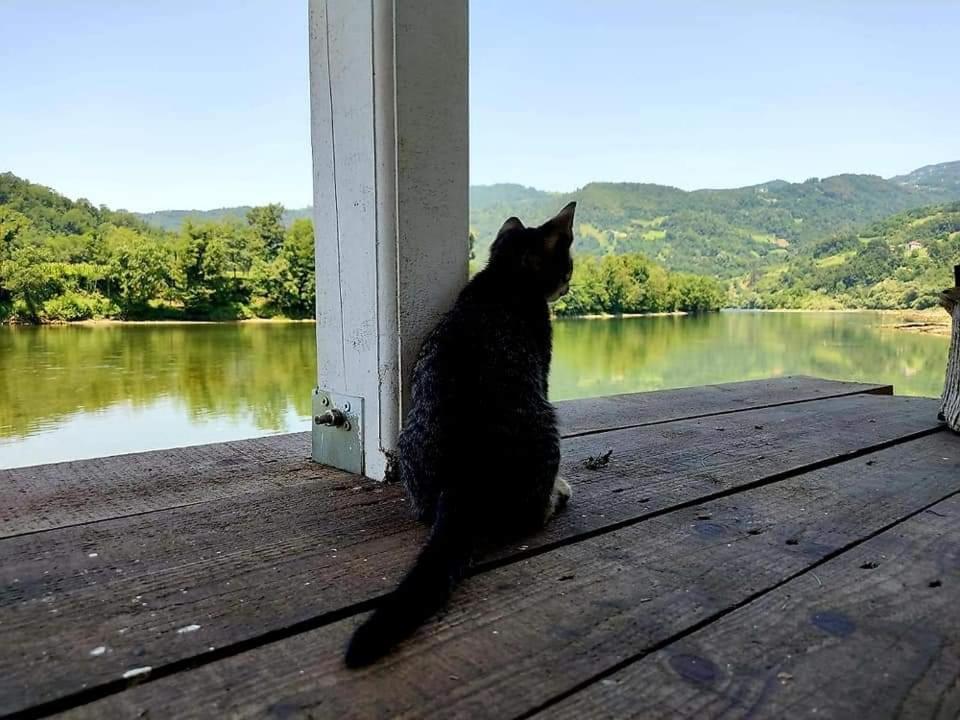 Вілла Brvnara Drina Wooden House Drina Drlace Екстер'єр фото