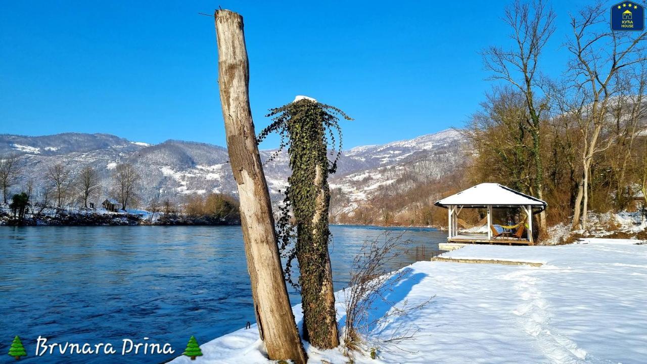 Вілла Brvnara Drina Wooden House Drina Drlace Екстер'єр фото